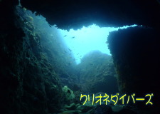 田子洞窟ダイビング