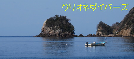 田子海洋状況