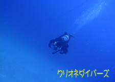 田子ダイビングポイント