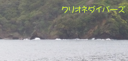 田子海洋状況