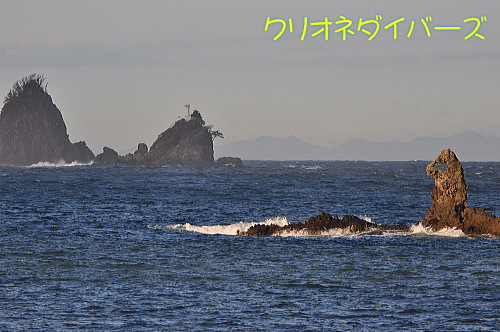 田子ダイビング海洋状況