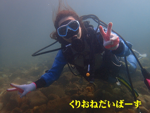 西伊豆田子体験ダイビング