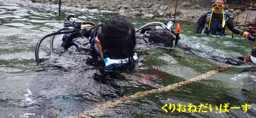 黄金崎体験ダイビング