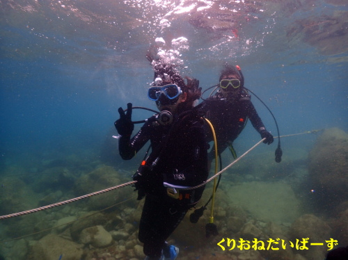 黄金崎体験ダイビング