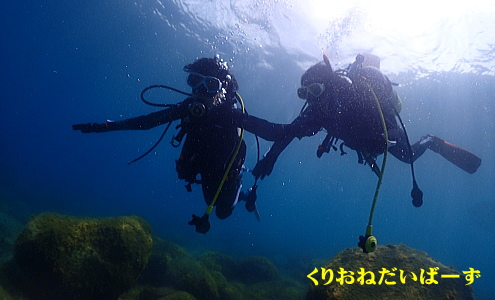 黄金崎体験ダイビング