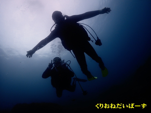 西伊豆黄金体験ダイビング