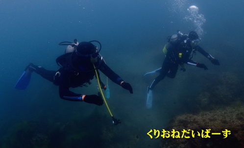 西伊豆黄金体験ダイビング