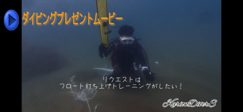 黄金崎体験ダイビング
