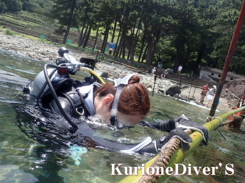 黄金崎体験ダイビング