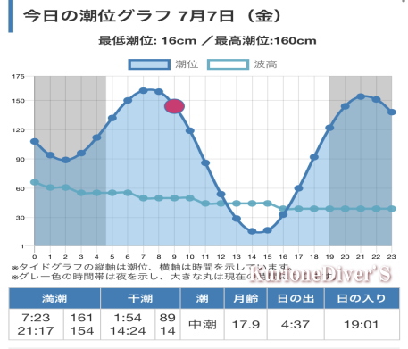 黄金崎体験ダイビング