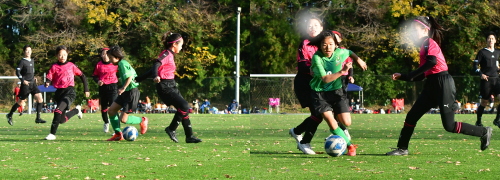 第38回富士山カップ少年少女サッカー大会