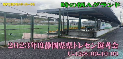 静岡県女子ジュニアサッカー