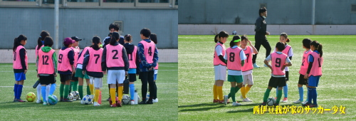 静岡県女子ジュニアサッカー