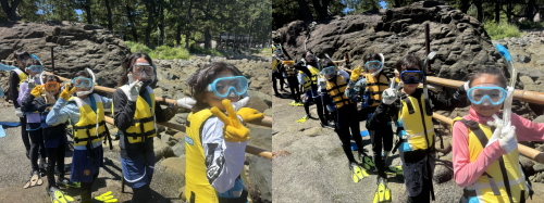 ���ɓ�������V���m�[�P�����O