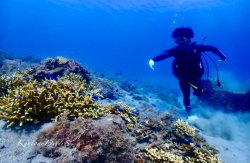 ���ɓ��c�q�̌��_�C�r���O