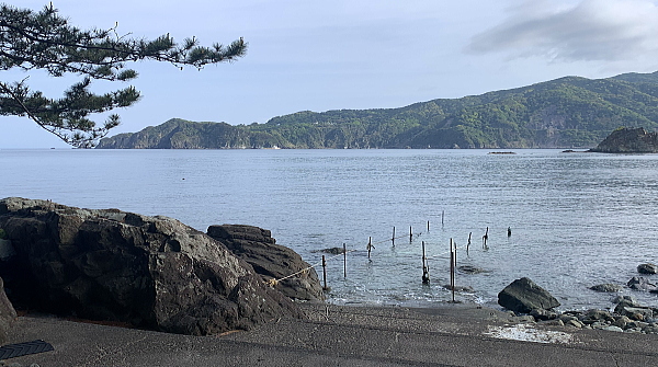 波が穏やかで初心者に最適な黄金崎公園ビーチのダイビング風景