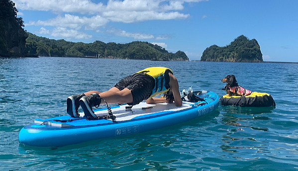 揺れるボードの上で体幹を鍛える水上プランク