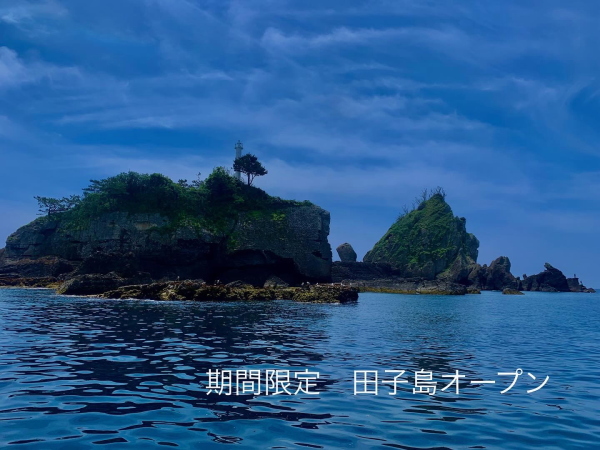 田子ダイビングの季節限定ポイント田子島の水中風景