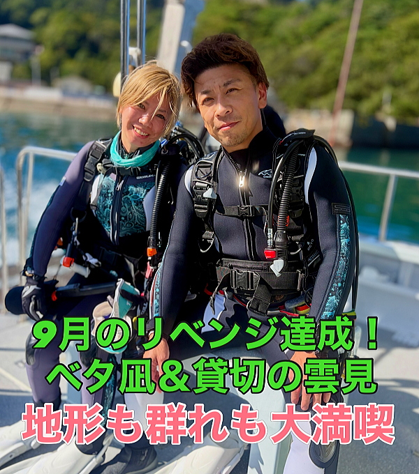 完全貸切状態の雲見の港