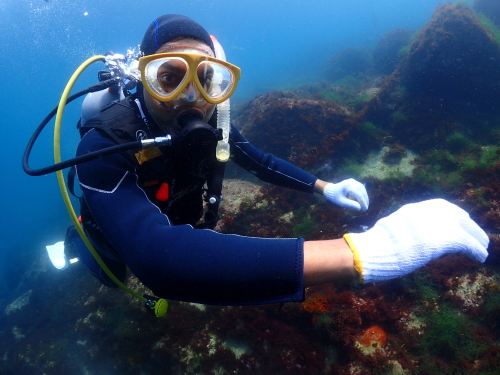 西伊豆・黄金崎の美しい水中光景とダイバーのシルエット