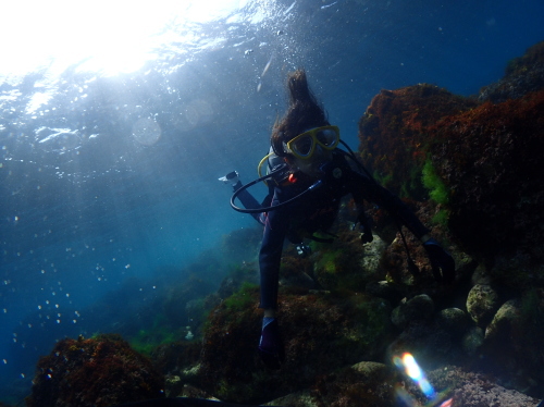 西伊豆・黄金崎の美しい水中光景とダイバーのシルエット
