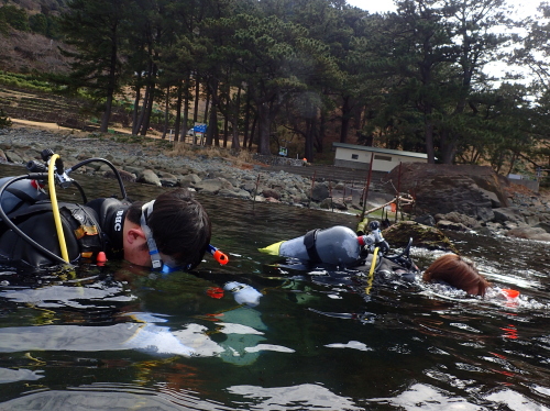 西伊豆・黄金崎の浅瀬でダイビング練習を始める様子