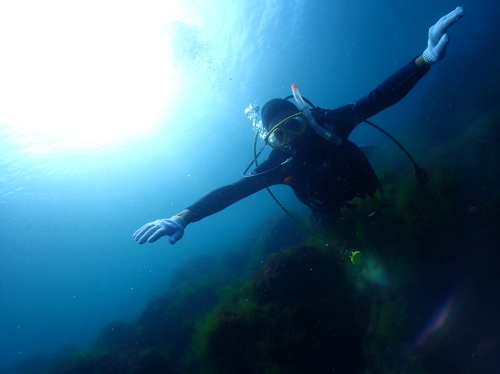西伊豆・黄金崎の美しい水中光景とダイバーのシルエット