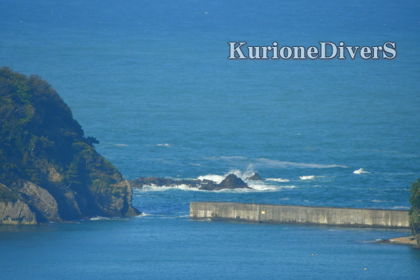 田子の海況：クラブハウスからの景色