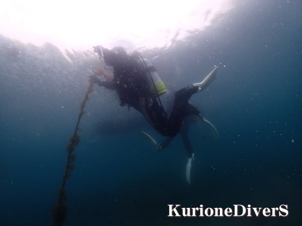 潜降ロープを使って安全に潜るダイバー