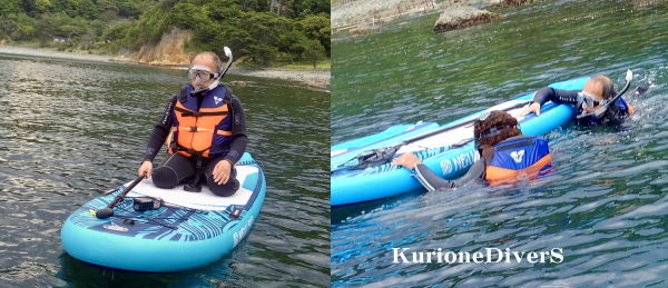 黄金崎の水中世界