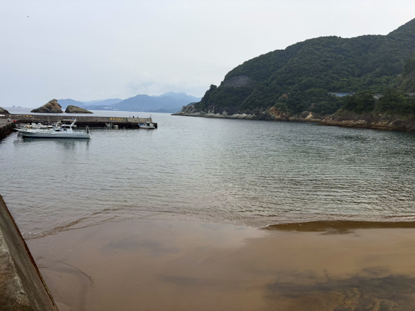 西伊豆・雲見ダイビングの風景