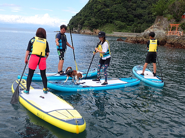 安良里の弁天島を背景に家族全員でSUPのスタンドアップを達成