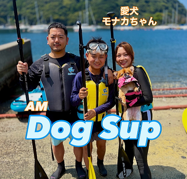 安良里の穏やかな海でSUPデビューを果たす愛犬モナカちゃんとゲスト様