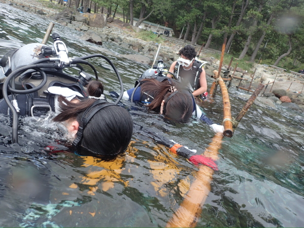 浅瀬でマスククリアなどの基本スキルを復習するリフレッシュダイビングの様子