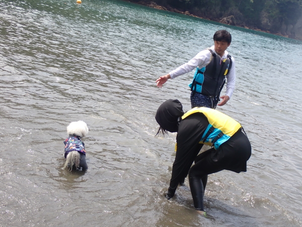 秘密のビーチに上陸し砂浜を元気いっぱい走り回る愛犬のイトちゃん