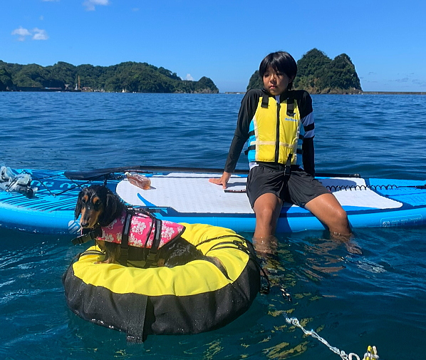 穏やかな田子湾でミニチュアダックスと一緒に西伊豆SUPを楽しむ様子