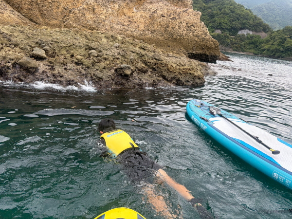 透明度抜群の大田子海岸で観察したソラスズメダイやオヤビッチャの群れ