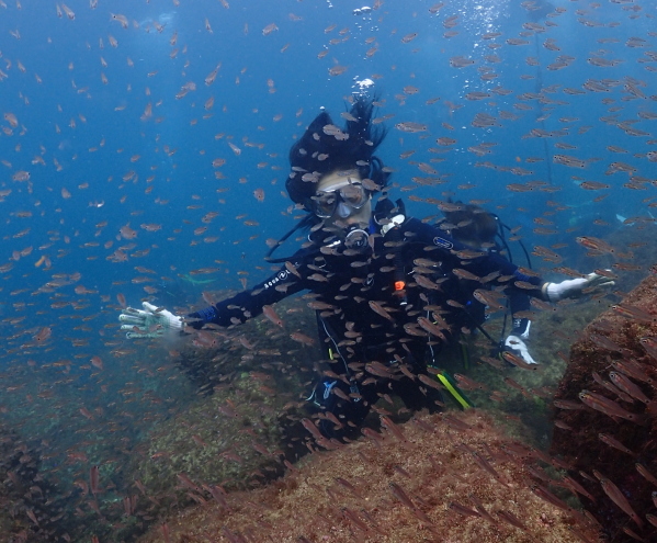 海に入ってすぐに現れた視界を覆い尽くす魚の群れ