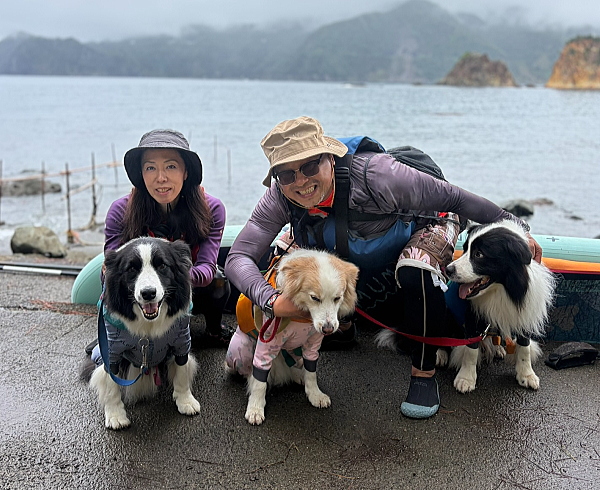 黄金崎の海でコリー犬3頭とSUPを楽しむ様子