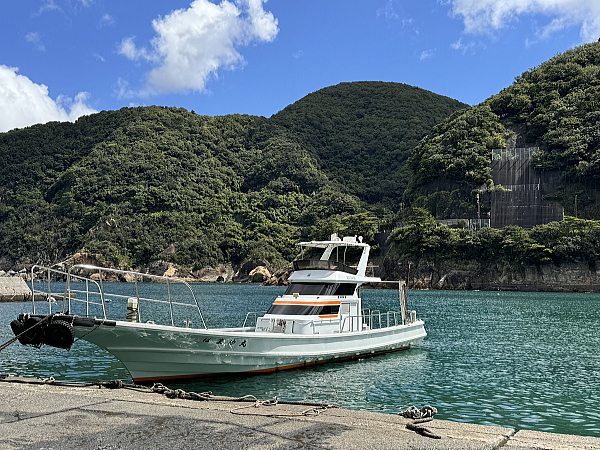 西伊豆・雲見の美しい海況と洞窟ダイビングの様子