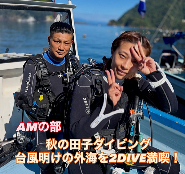 ダイビング出発前のボートから見た田子の穏やかな海