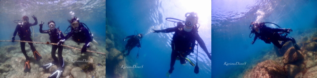 黄金崎体験ダイビング 黄金崎体験ダイビング