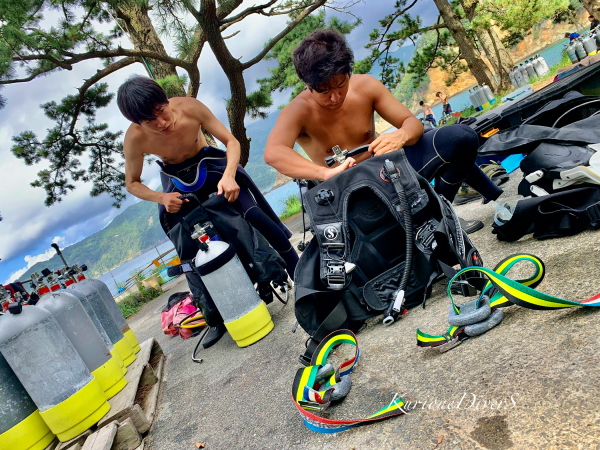 ダイビング講習