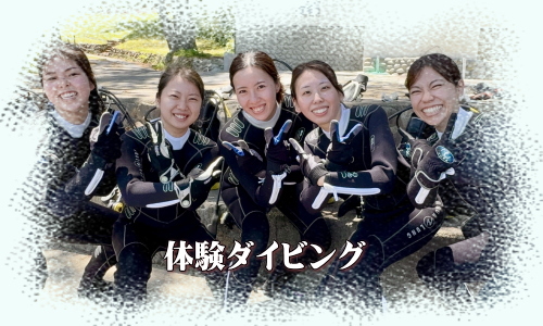 職場の仲間と体験ダイビングを楽しむ