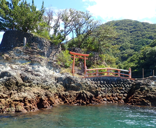 湖のように波が穏やかな西伊豆・安良里でのSUP体験。ドッグSUPや初心者にもおすすめ