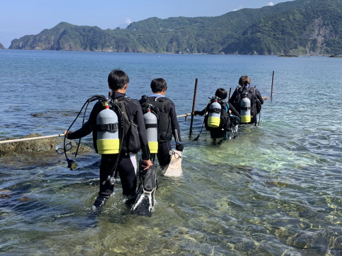 黄金崎体験ダイビングの様子